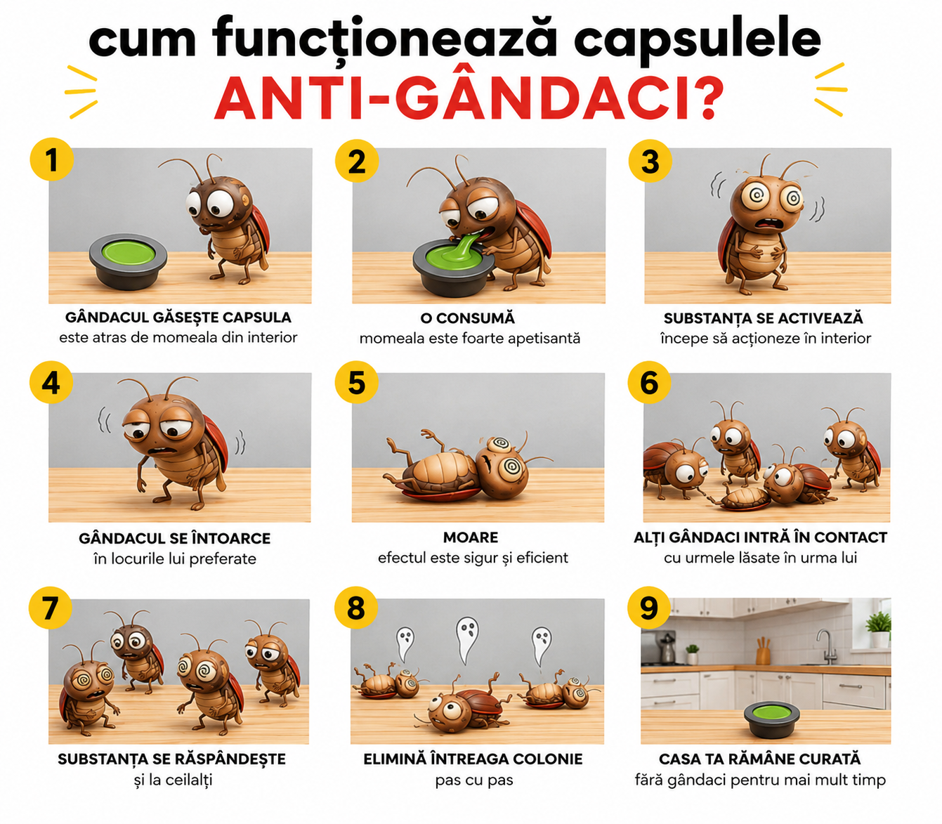 Capsule Anti Insecte