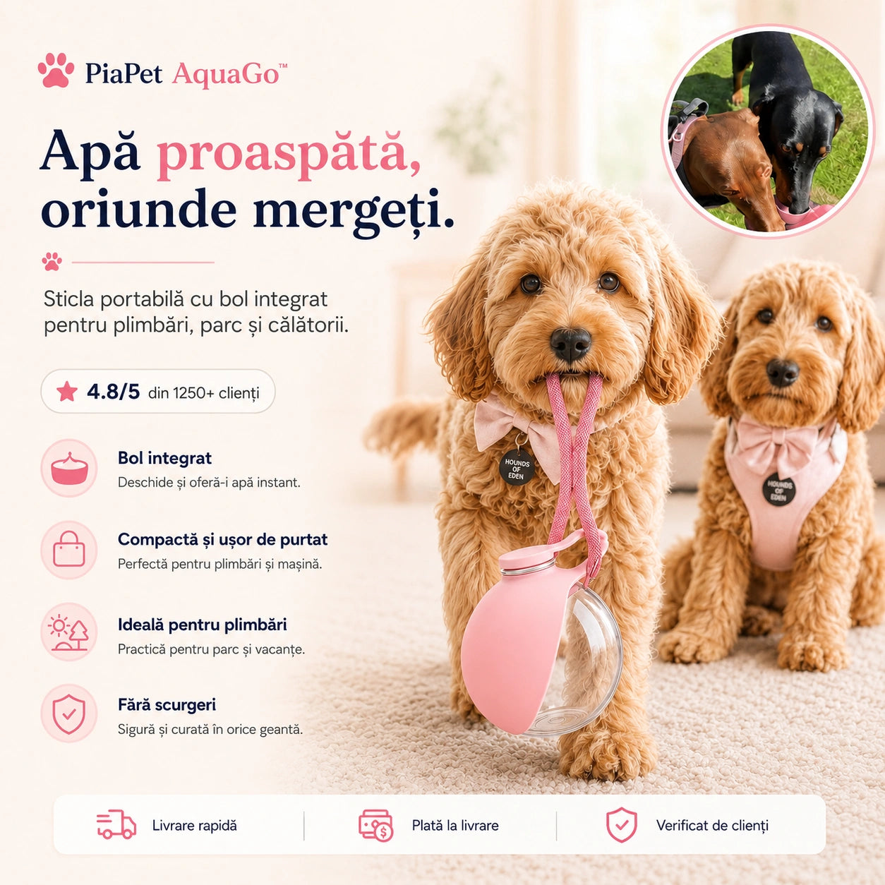 PiaPet AquaGo™